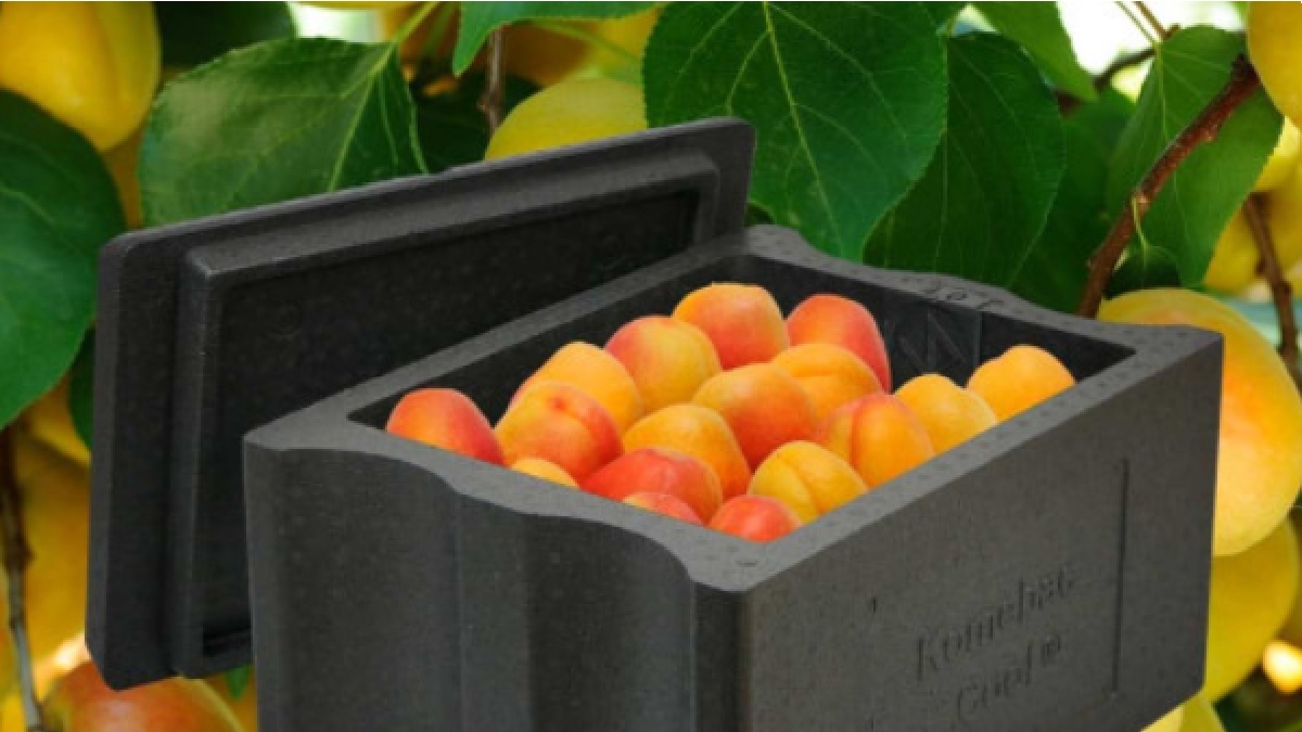 Envases agrícolas innovadores máxima frescura y sostenibilidad desde el campo hasta la mesa.jpg